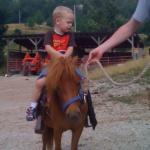 little boy on horse